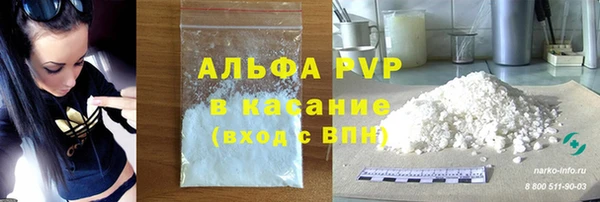 СК Белокуриха