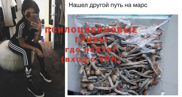 твердый Сосновка