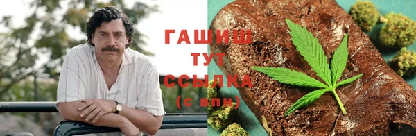 СК Белокуриха