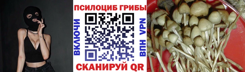 Псилоцибиновые грибы мицелий  Велиж 