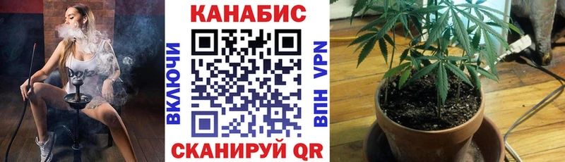 купить наркоту  Велиж  Конопля ГИДРОПОН 